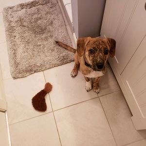 Meet your Posher, Rachel